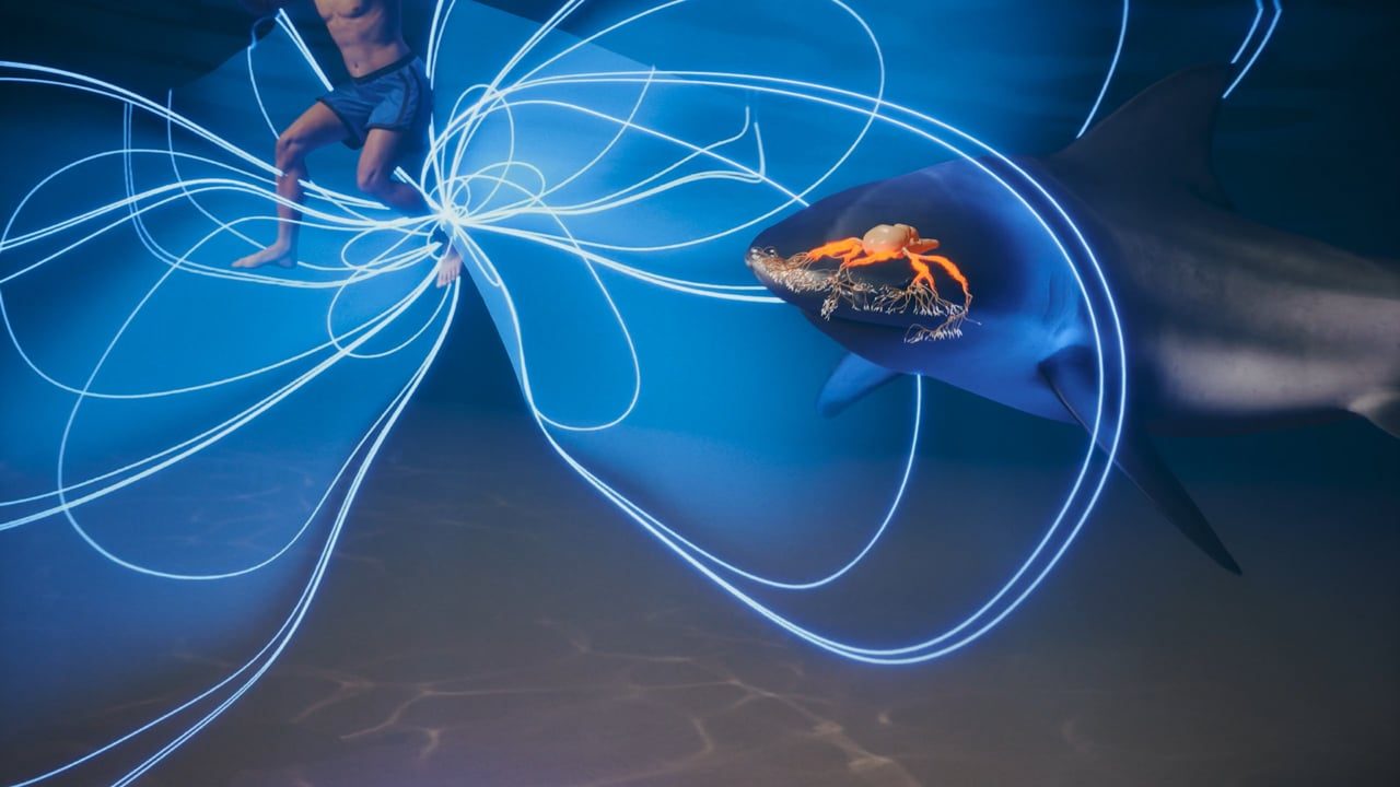 Sharkbanz × Bethany Hamilton, 3 hero pieces: explainer · lifestyle · brand story. Directed by Aaron Lieber.