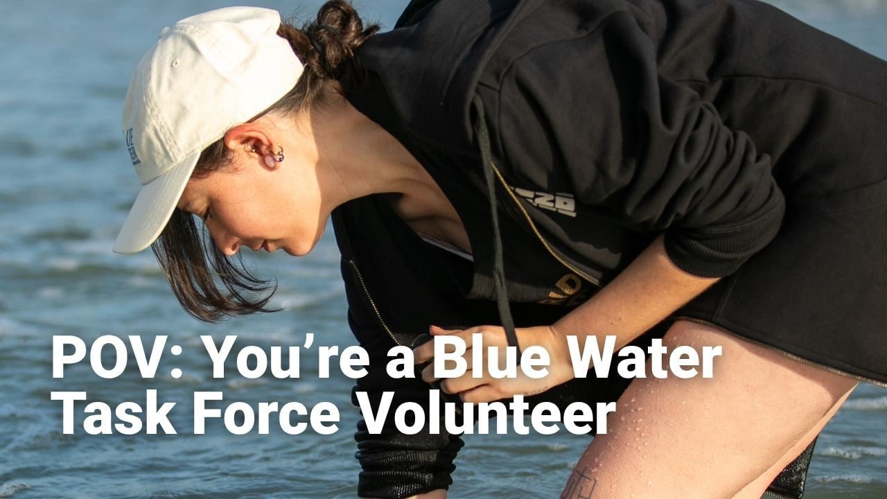 Surfrider POV · Blue Water Volunteer, ocean cinematography by Aaron Lieber, water cinematographer San Clemente