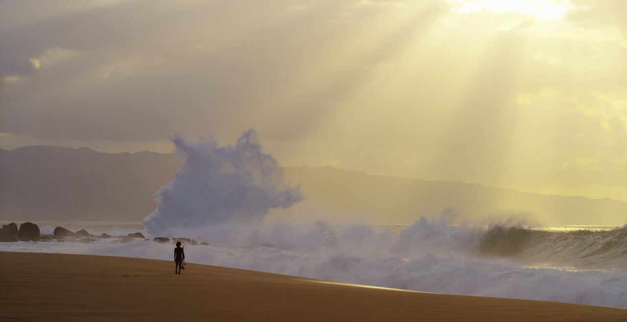 The Wild: Noah Beschen Surf Film, short film · 10 weeks shoot · 4 weeks edit. Directed by Aaron Lieber.